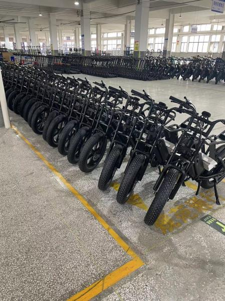 Folding Electric Bicycle F008 500W Brushless Motor 48V Removable Lithium Battery Bike