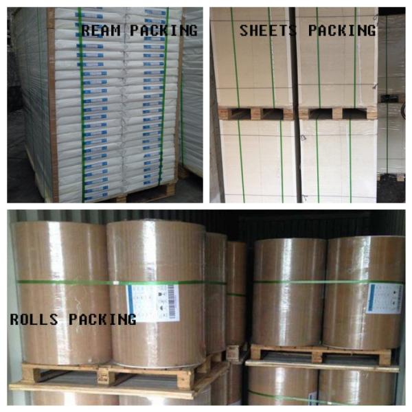 FDA Approved One Side Coated White Kraft Paper 35 / 40GSM In Sheets