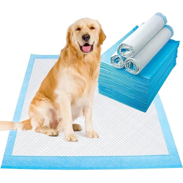 Customized Free Sample Pee Pad for Dog Back Side Waterproof Sanitary Dog Pee Training