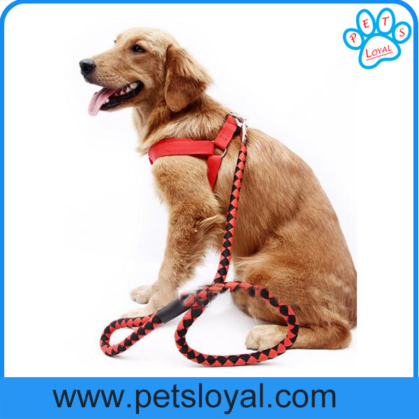 Hot Selling Cheap Pet Dog Product Nylon Pet Dog Harness Leash China Factory
