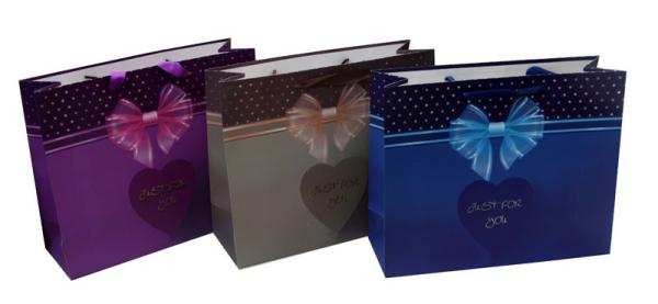 Shining Coats Paper Carrier Bag for Gift Packing  Ribbon Handle