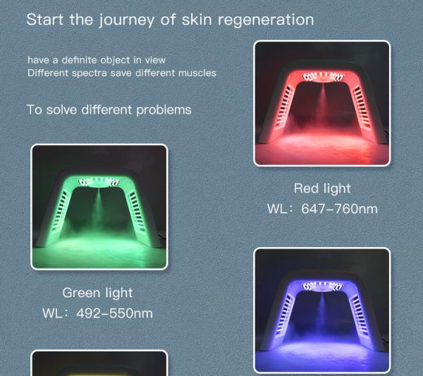 Professional Photon 7 Colors PDT Led Light LED Facial Mask Machine For Skin Rejuvenation Light Therapy