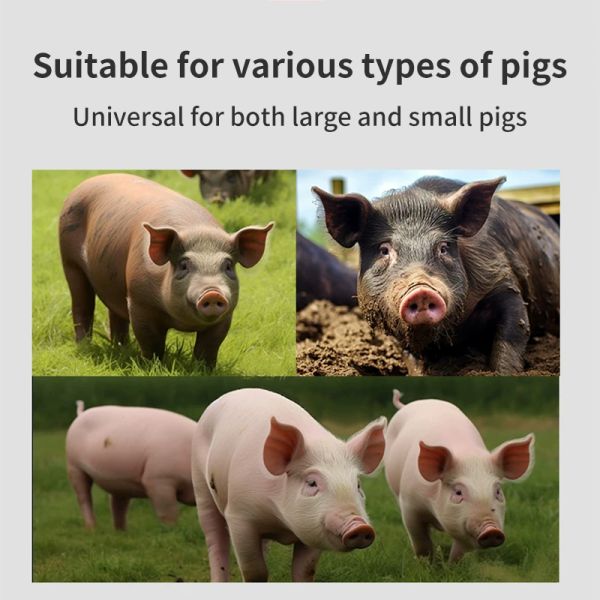 Cheap Factory Price 201 Stainless Steel Livestock Piglet Fodder Trough Pig Feeder Feeding for Pig Farm Equipment