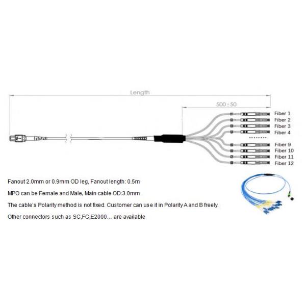 12 Fibers MPO-LC Fiber Optic Cable OM4 2.0mm Straight Harness for High-Density Data Centers