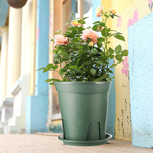 Planters for Indoor Plants, Planters with Drainage Hole and Tray, Flower Pots Indoor Plant Pots for Patio Garden