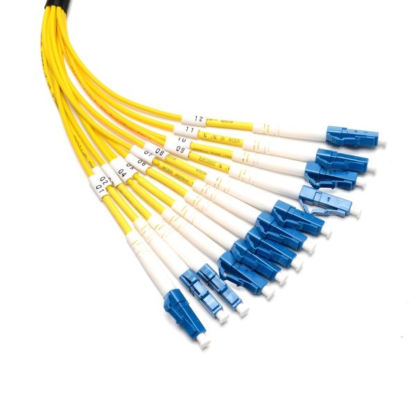 Single Mode SM 3 Meter Patch Cord Lc-Lc 12 Core  with High return loss