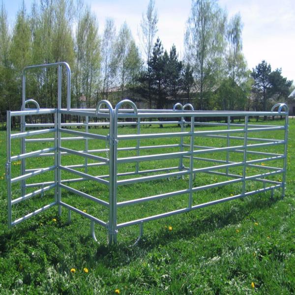 Galvanized Metal Corral Fencing For Cattle Horses Easily Assembled Round Pen Fencing