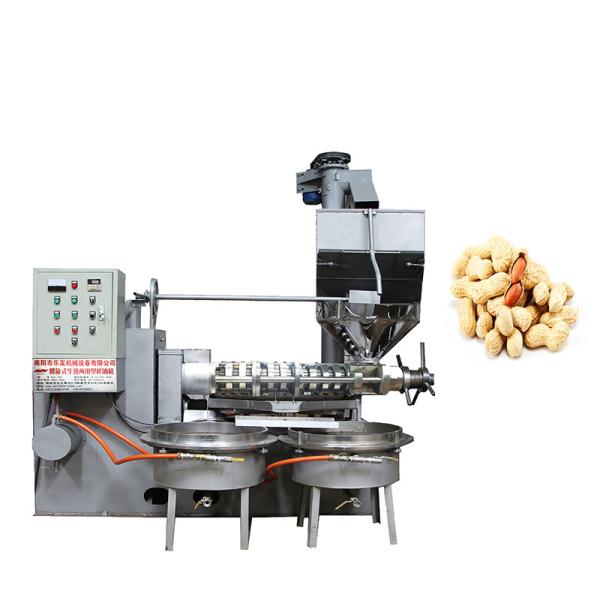 Automatic Industrial Oil Press Machine Peanut Oil Press Machine 220 - 450 Kg/H Capacity