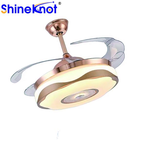 Adjustable E27 LED Bulbs for Remote Control Modern Ceiling AC Motors Lights in Homes