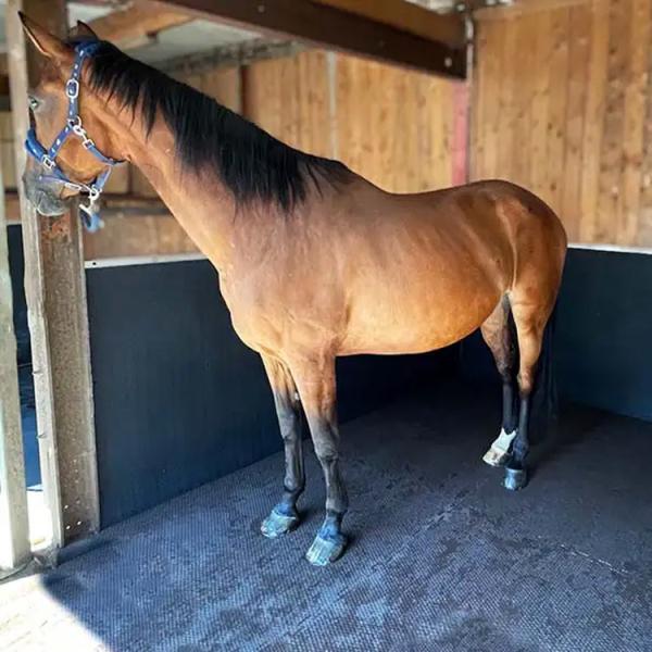 Anti Slip Horse Stable Rubber Mat