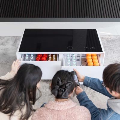 Modern Design Metal Coffee Table with Luxury Wireless Charging and Freezer Refrigerator