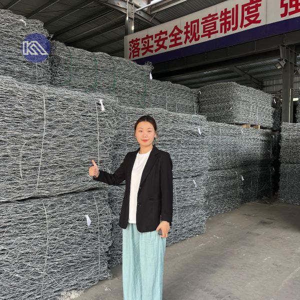 Controlling Flood Rock Wall Hexagonal Wire Mesh Gabion Box Stone Cage 2x1x1m Stone Filled Gabion Basket Galvanized