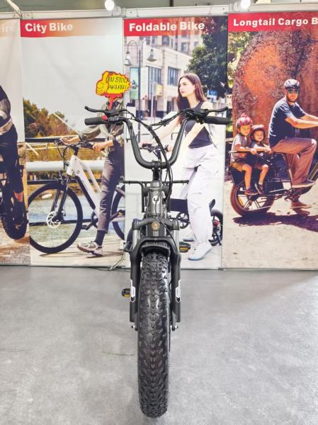 20” Fat Tire Long Tail Cargo E-bike