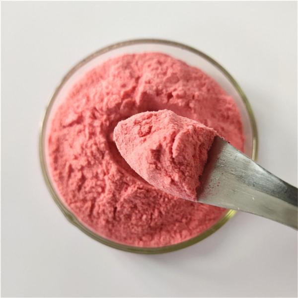 GMP Factory  Wholesale Maqui Berry Powder