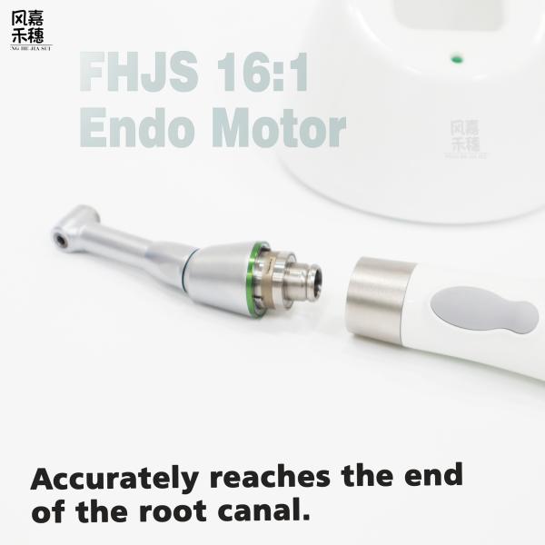 Endo Motor Safe & Efficient Ideal for General Dentists 6