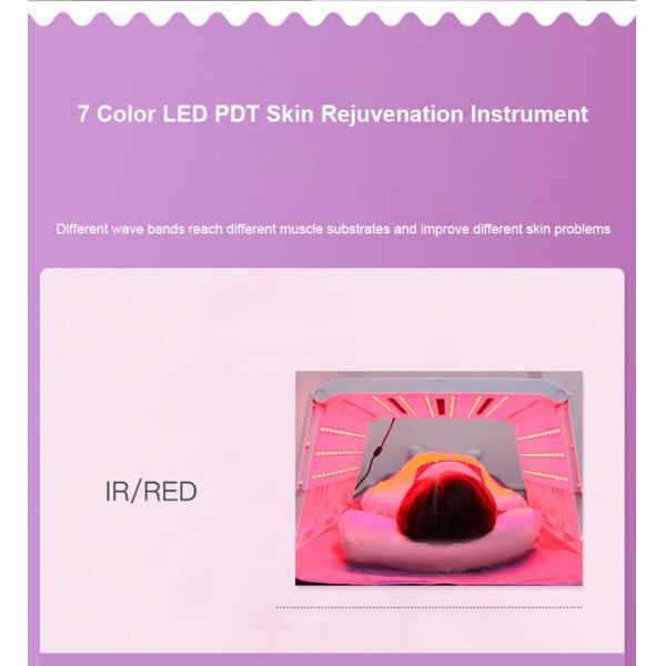 Прибор личной заботы терапией красного света машины терапией фотона СИД 7 цветов