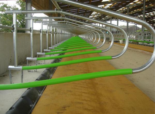 Aprovação livre do equipamento de exploração avícola ISO9001 do celeiro de leiteria da tenda da vaca interna