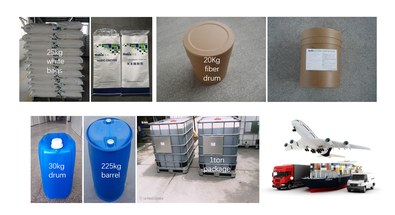 Bio Oxidase Glucose Oxidase Enzyme Powder