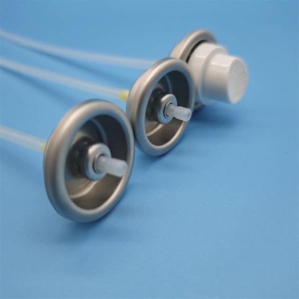 Professional Facial Water Sprayer Valve for Skincare Salons with Precise Dispensing