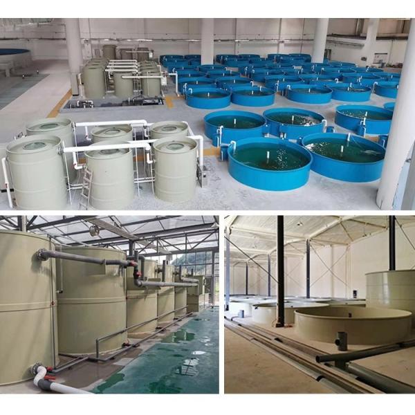 Water Treatment For TPPS Tilapia Aquaculture System Foam Filtration Device