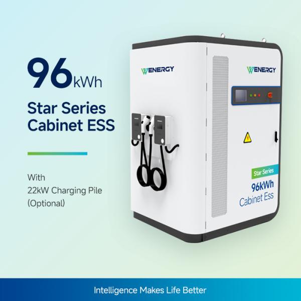 96kWh Solar Diesel Hybrid Power System ESS Cabinet with Liquid Cooling and IP55 Protection