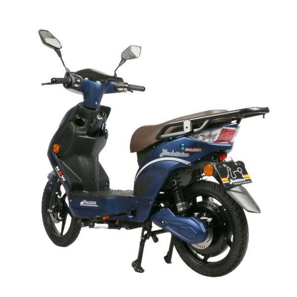 48V 800W High Power Electric Moped Bike EEC Certification For Unisex Riders