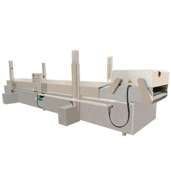 Industrial Frozen French Fries Production Line Fully Automatic Energy Saving
