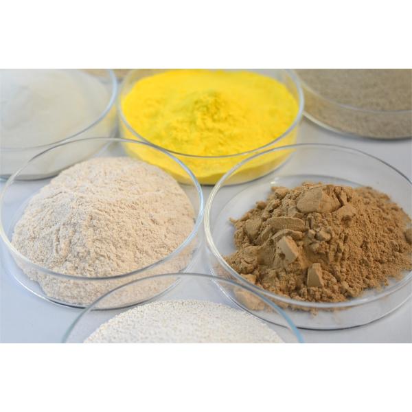 "Очищающий фермент, текстильный фермент".