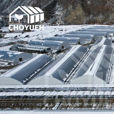 OEM ODM Commercial Solar Greenhouse High Rain Resistance