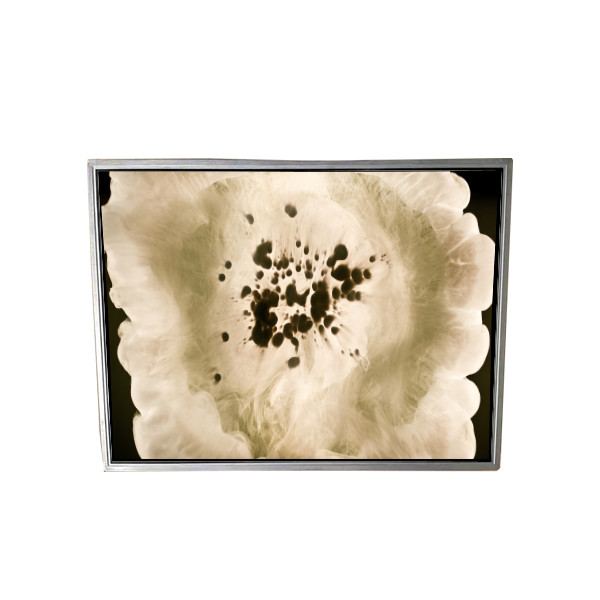 80ピン 120PPI NL204153BM21-01A LCDディスプレイ