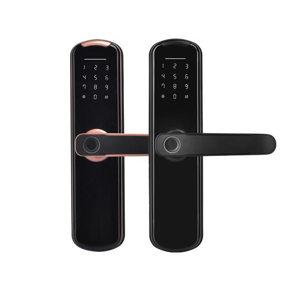 Senha esperta IP45 Bluetooth Wifi da fechadura da porta da impressão digital de DC6V para a casa