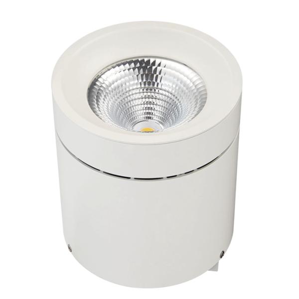 LEDs Type: CREE, CITIZEN COB LED, Lifud/Meanwell Driver,6063 Aluminum Housing + Plastic Reflector,Triac/ 0-10V/ DALI,