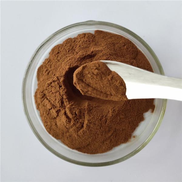 Anti Cancer Papaya Seed Extract Powder In Bulk