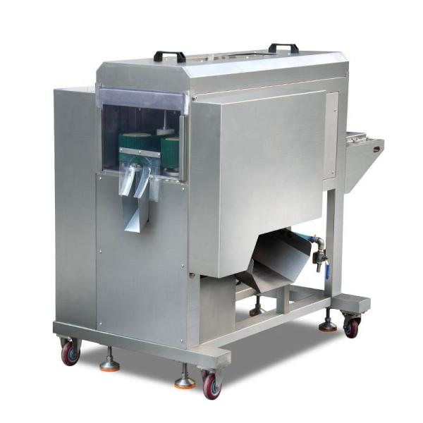 Automatic Remove Center Fish Meat Bone Sea Bream Bass Fish Fillet Making Processing Machine