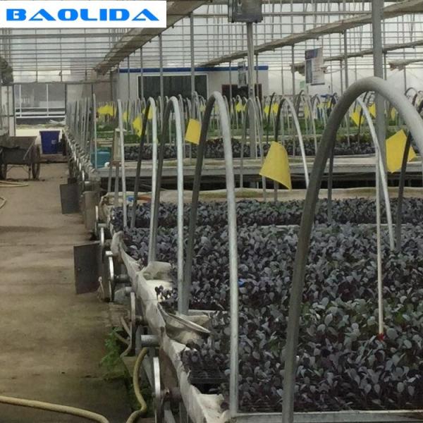 Galvanized Greenhouse Rolling Benches / Greenhouse Benches And Tables