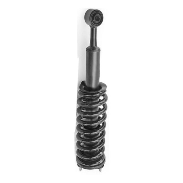 Left Right Front Shock Absorber & Coil Spring Assembly OEM 2905104XGW04A 2905103XGW04A For Tank 300 GWM Heavy Duty Off-road Suspension