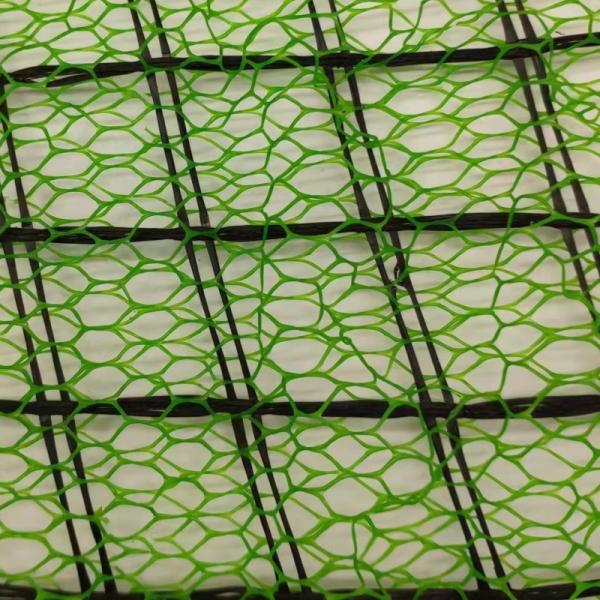 Steel Plastic Geogrid in with Acid Resistant and Base Reinforcement Function