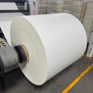 Custom Food Grade PE Coated Paper Roll 5oz 6oz 7oz 8oz Size Paper Cups