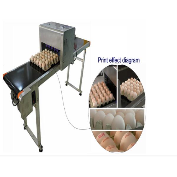 Automatic Single Row Egg Printing Machine With Small Solvent Printer