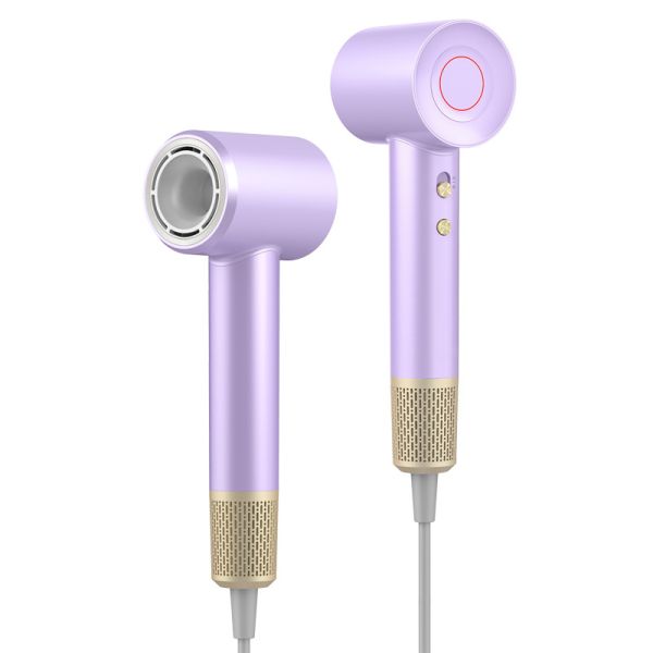 China Factory Direct Sale Smart Lightweight Negative Lon Intelligent Temperature Control Hair Dryer with Diffuser