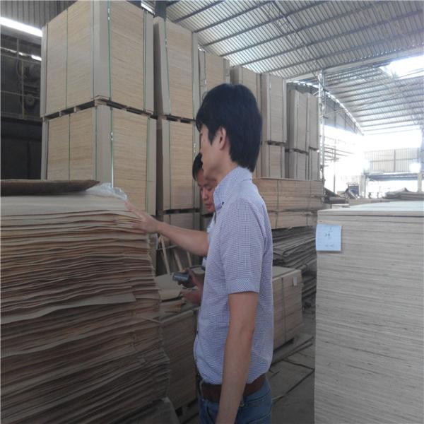 Bintangor Face 11.5mm 7 Ply Ultralight Plywood