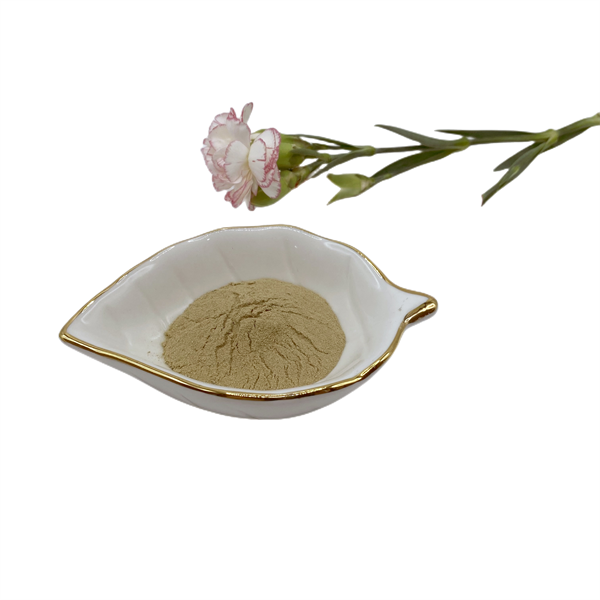 Engrais pour plantes 50 % d'acides aminés 100 % soluble dans l'eau