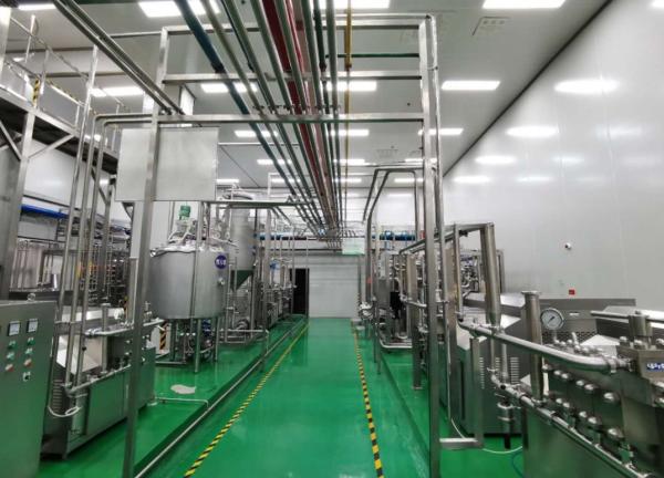SUS304/316L Fábrica de produção de peptídeos de colágeno chave na mão com funcionalidade personalizada