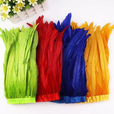 Trajes de carnaval, coco de galo, plumas, bordas, aparar