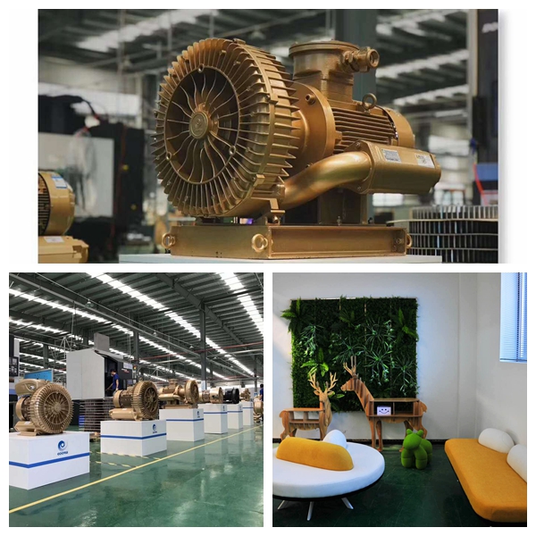 High Pressure 3 Phase Vacuum Pump Ring Blower for Plastic Machinery