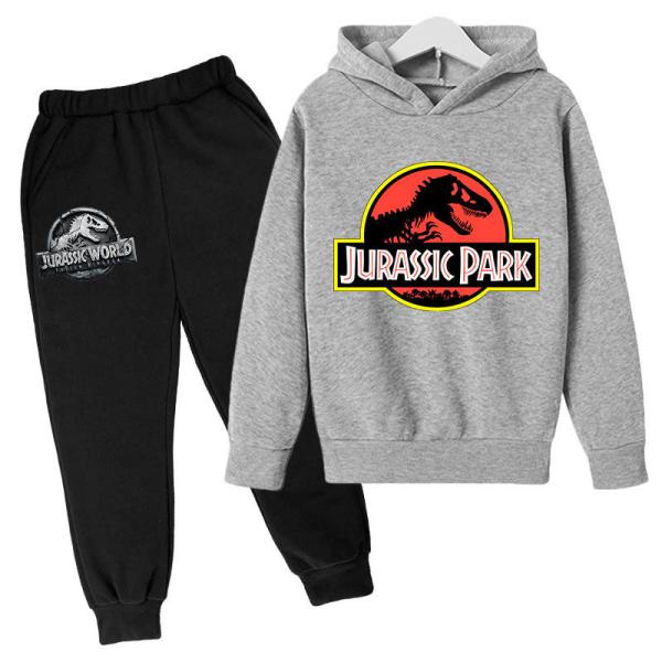 Children'S Outfit Sets Movie Anime Hoodie Boys And Girls Dinosaur Print Hoodie Set