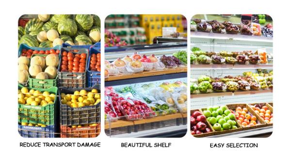 Custom PET Plastic Blister Tray Pallet For Food Fruits Box Packaging Transparent