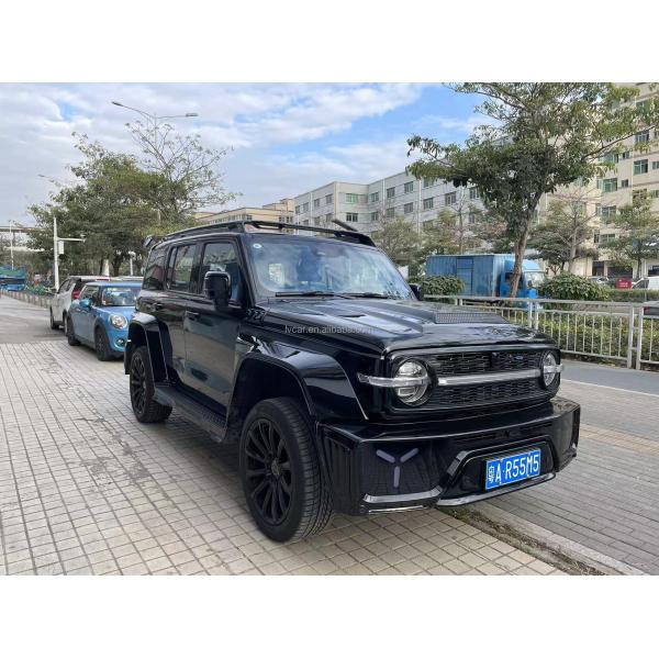 Tank 300 SUV Car with Rear Camera and Automatic Air Conditioner in Customized Version