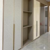 E0 Sistema modular de guarda-roupa de porta giratória equipada padrão OEM