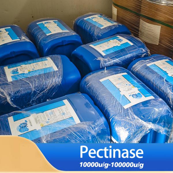 Pectinase liquide commerciale personnalisée de qualité alimentaire et industrielle
